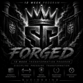 FORGED 12 Week Transformation System