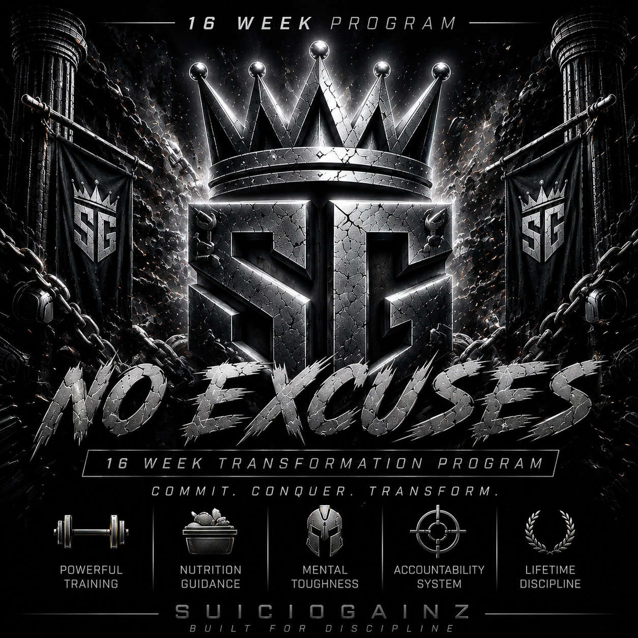 NO EXCUSES 16 Week Transformation System